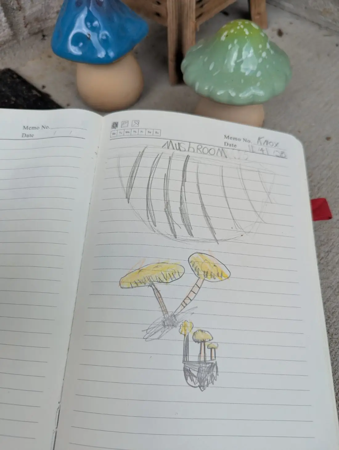 Student nature journal: Mushrooms
